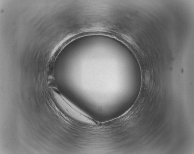 X0000052631356200507221739