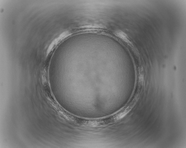 X0000052631357200507221739