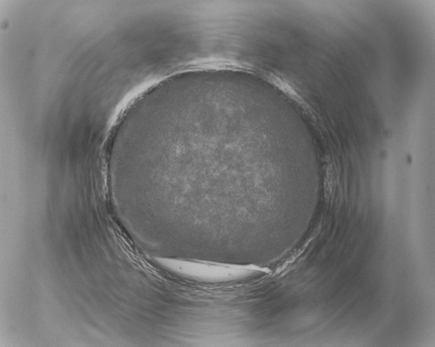 X0000052631358200507221739