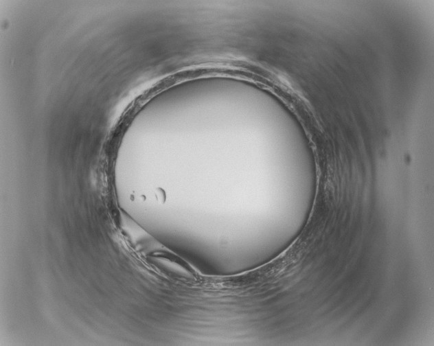 X0000052631360200507221739