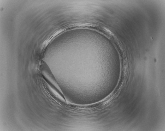 X0000052631361200507221739