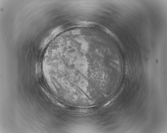 X0000052631362200507221739