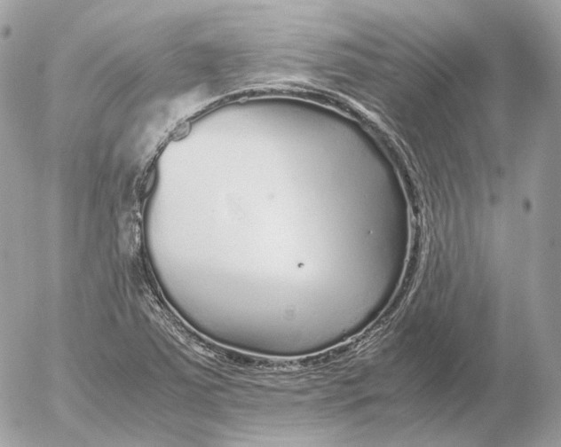 X0000052631363200507221739