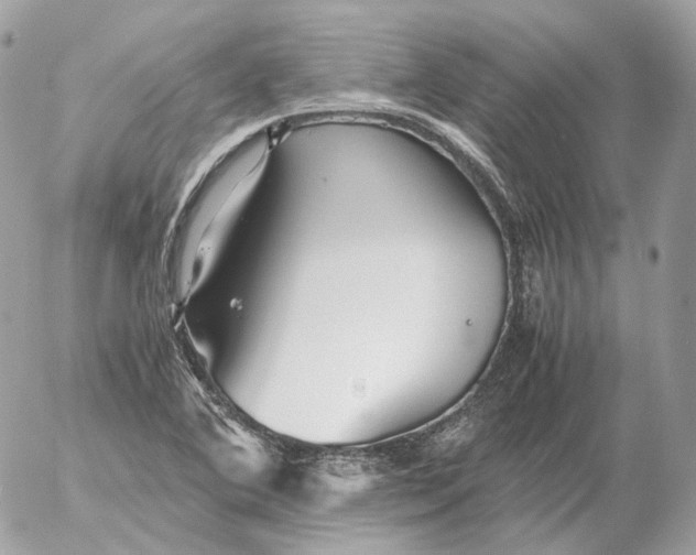 X0000052631364200507221739