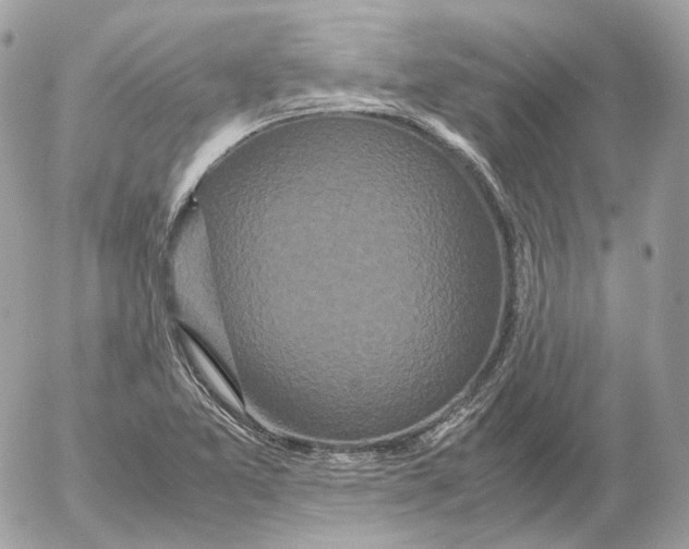 X0000052631365200507221739