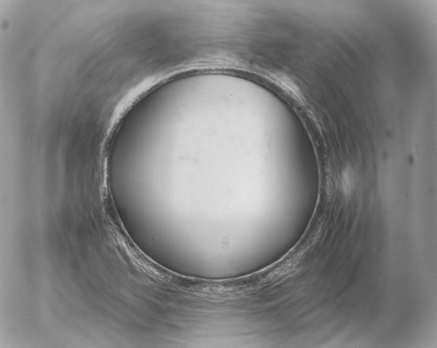 X0000052631366200507221739