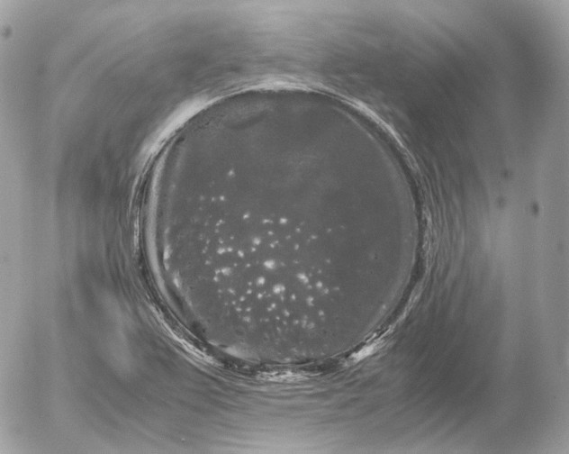 X0000052631367200507221739