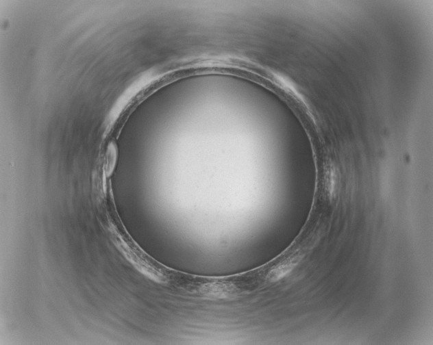 X0000052631368200507221739