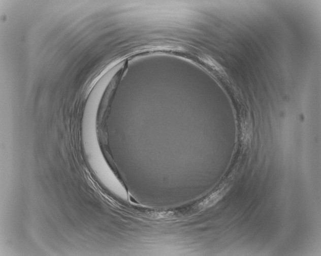 X0000052631369200507221739