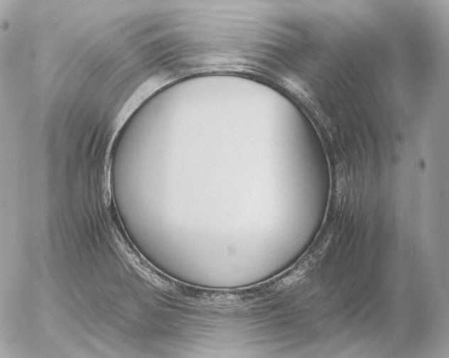 X0000052631370200507221739