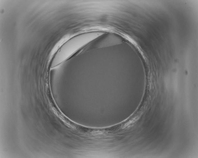 X0000052631373200507221739