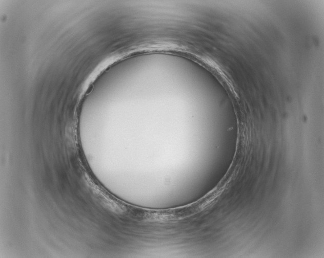 X0000052631374200507221739