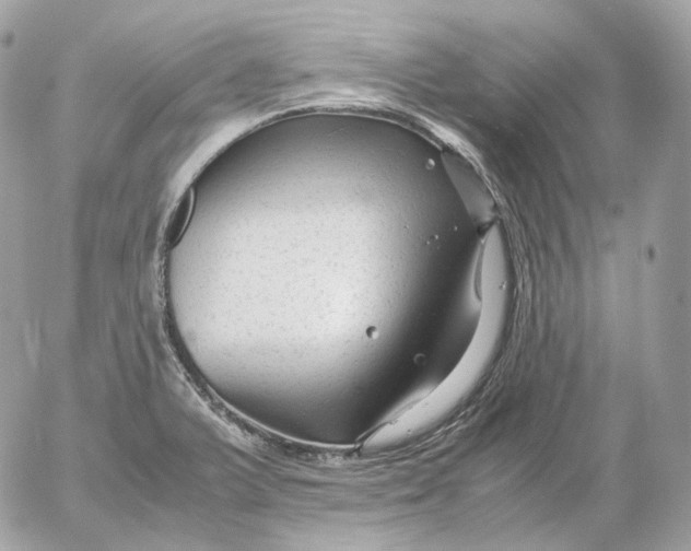 X0000052631375200507221739