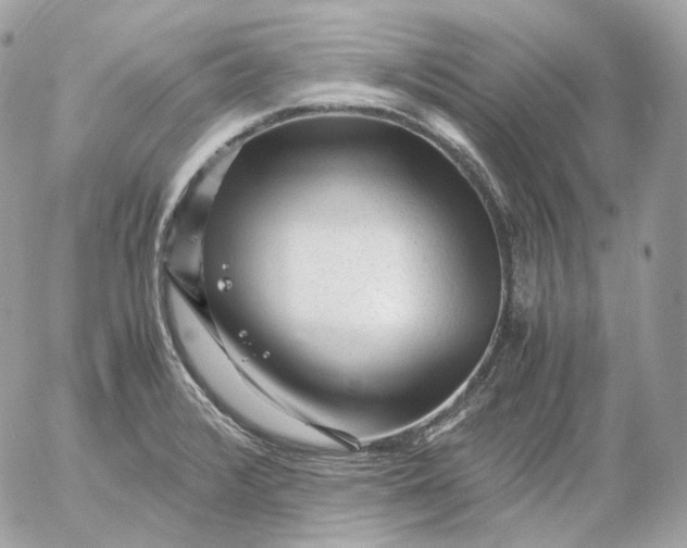 X0000052631376200507221739