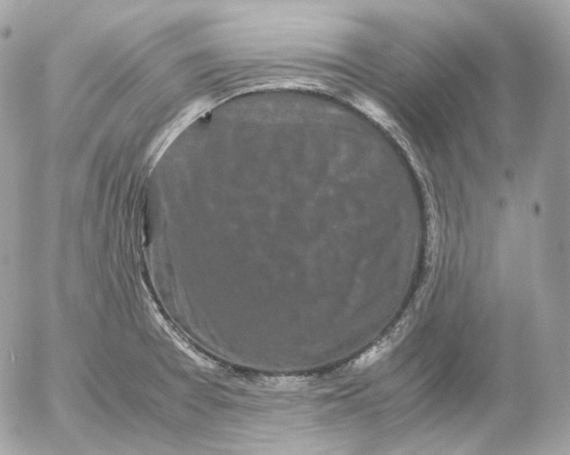 X0000052631377200507221739