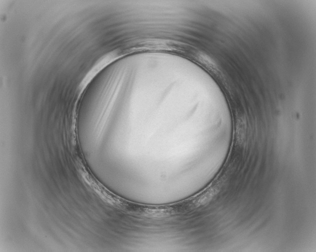 X0000052631378200507221739