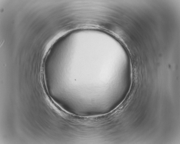 X0000052631379200507221739