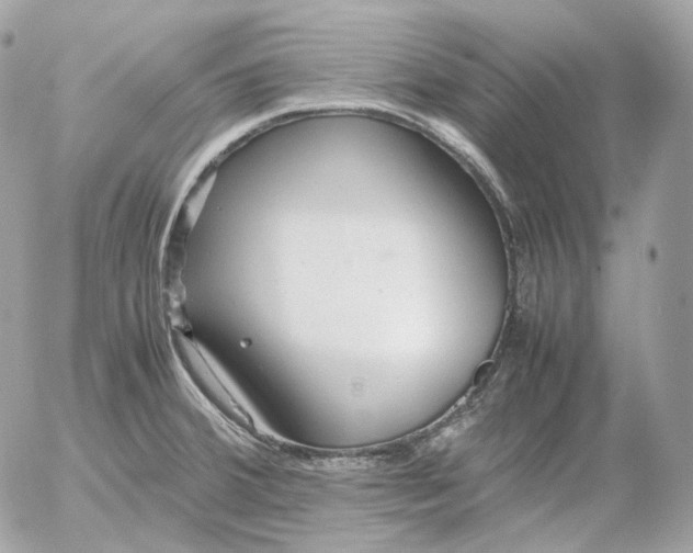 X0000052631380200507221739