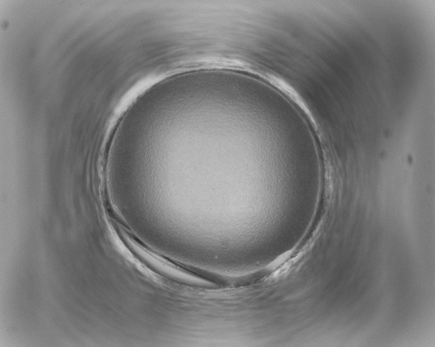 X0000052631381200507221739