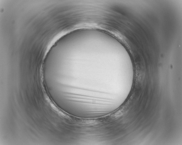 X0000052631382200507221739