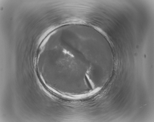 X0000052631383200507221739