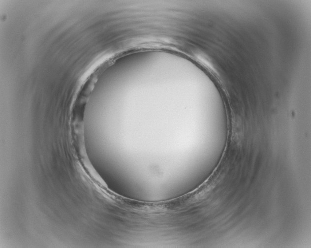 X0000052631384200507221739