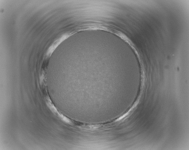 X0000052631385200507221739