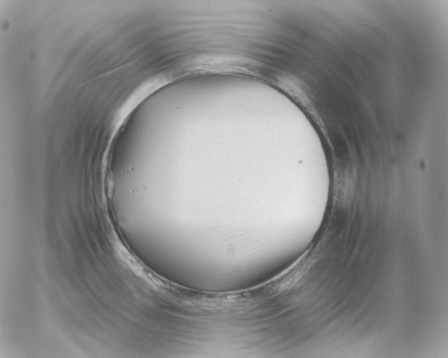 X0000052631386200507221739