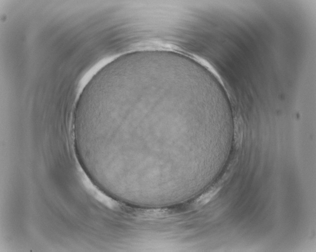 X0000052631387200507221739