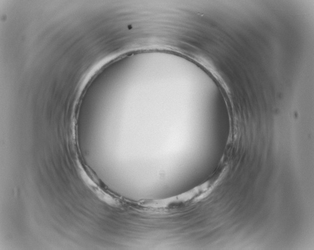 X0000052631388200507221739