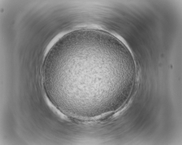 X0000052631389200507221739