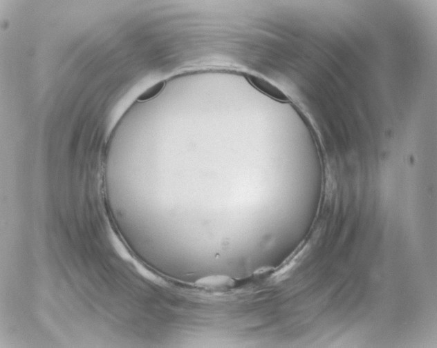 X0000052631390200507221739