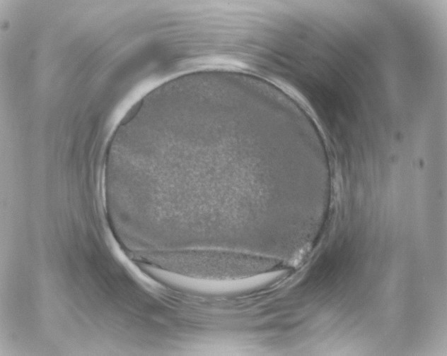 X0000052631391200507221739