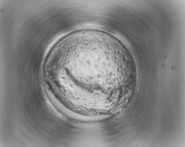 X0000052631392200507221739