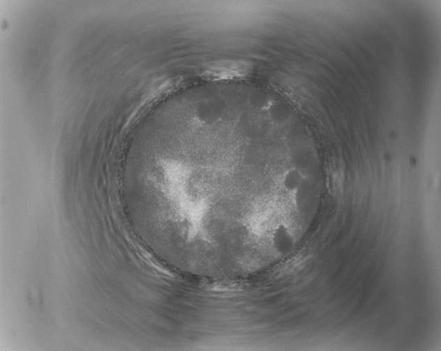 X0000052631393200507221738