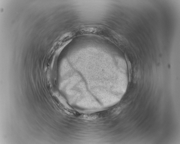 X0000052631394200507221738