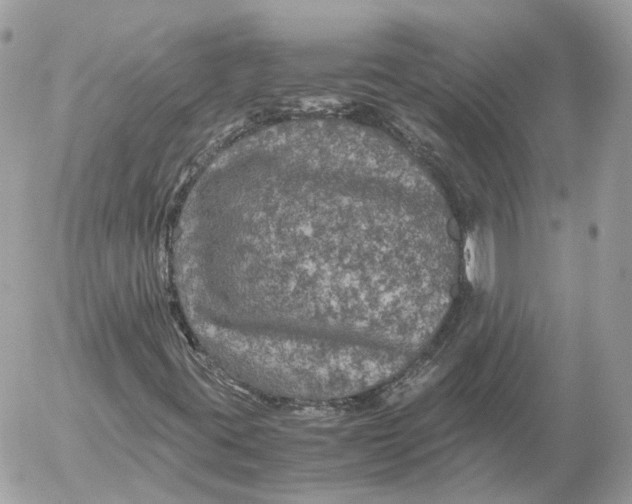 X0000052631395200507221738