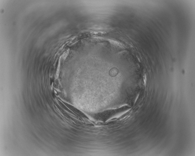 X0000052631396200507221738