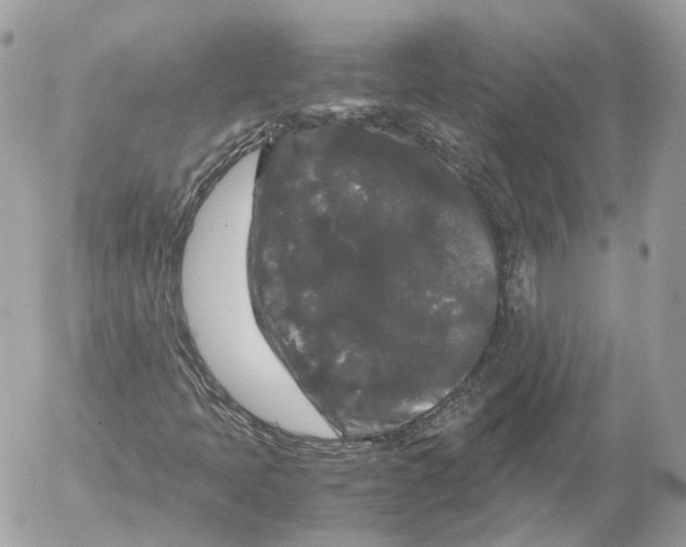 X0000052631397200507221738