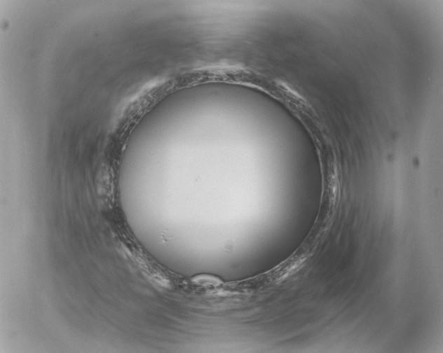 X0000052631398200507221738