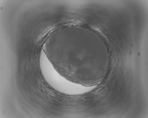 X0000052631399200507221738