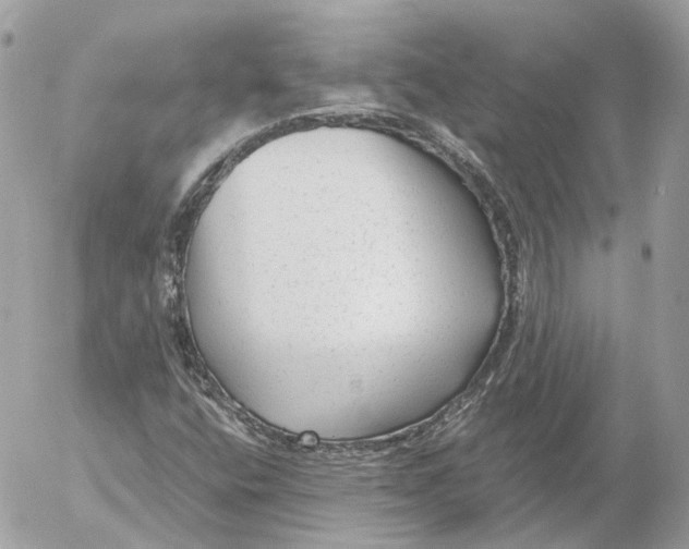 X0000052631400200507221738