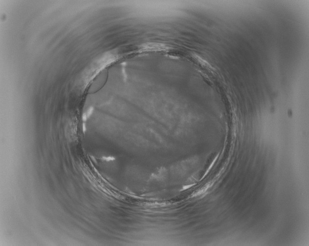 X0000052631401200507221738