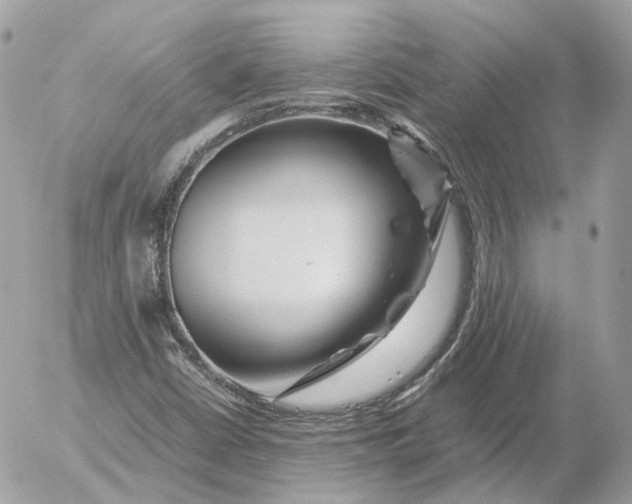 X0000052631402200507221738