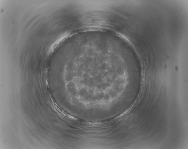 X0000052631403200507221738