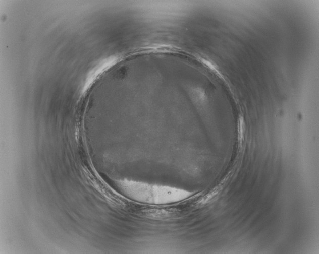 X0000052631405200507221738