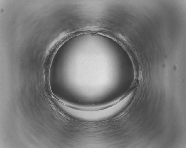 X0000052631406200507221738