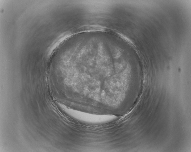 X0000052631407200507221738