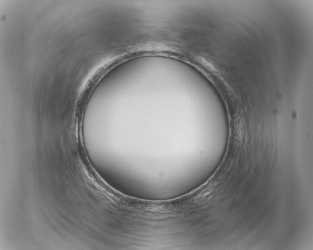 X0000052631408200507221738