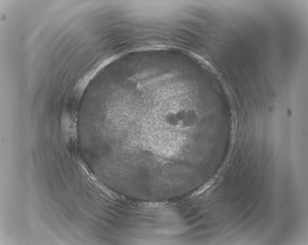 X0000052631409200507221738